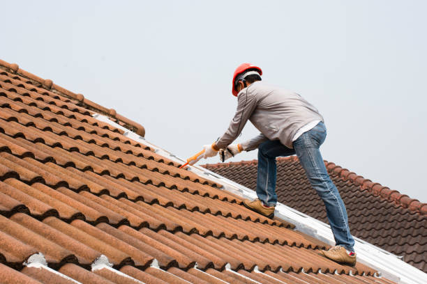 Best Asphalt Shingle Roofing  in Mccoll, SC